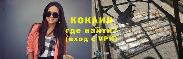 прущие грибы Вязники