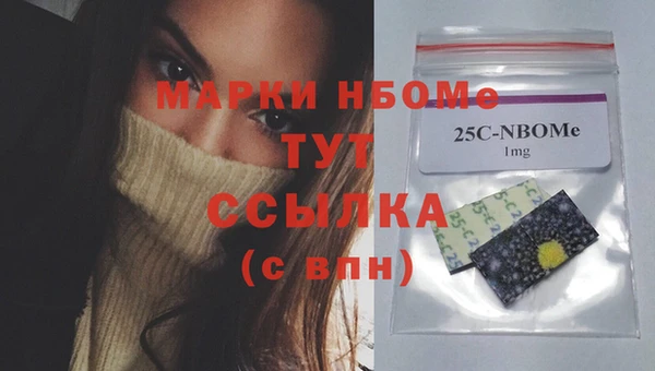 хмурый Вяземский