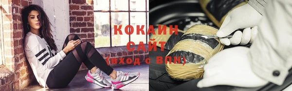прущие грибы Вязники