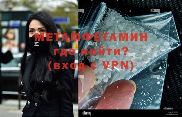 прущие грибы Вязники