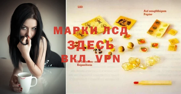 прущие грибы Вязники