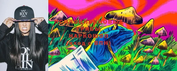 бошки Вязьма