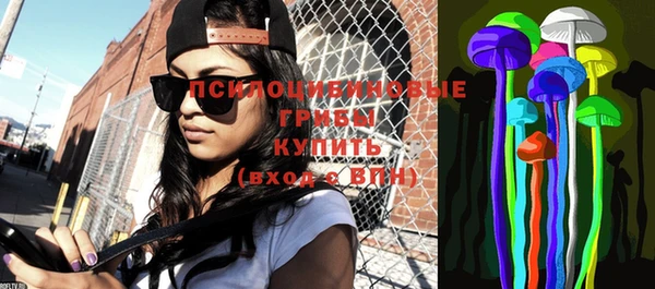 бошки Вязьма