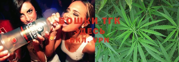 хмурый Вяземский