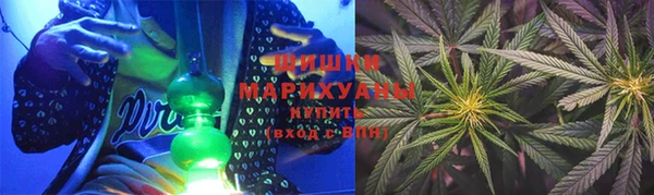 прущие грибы Вязники